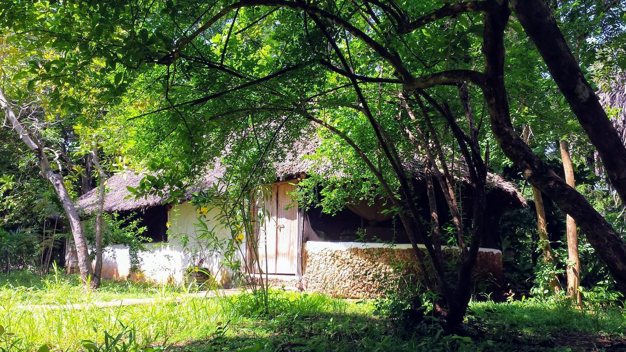 Mikoko Cove Ecolodge Funzi Екстериор снимка